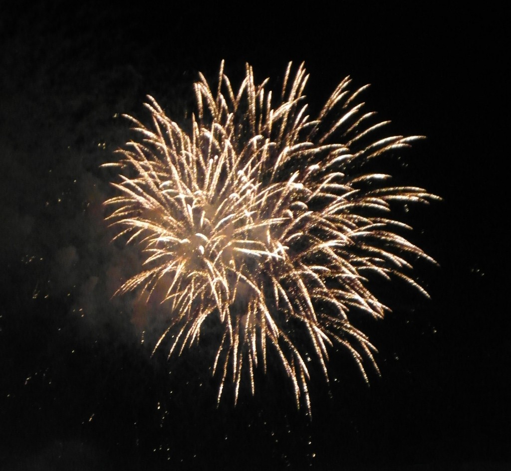 Bonne année 2014 !