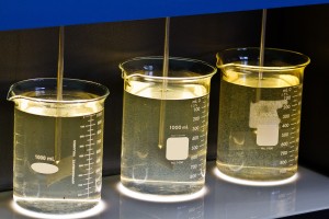 Définition biochimique du tanin