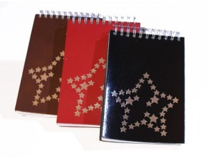 Carnet en cuir à spirales