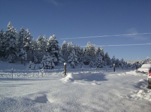 Protection contre le froid