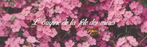 fleurs rose et titre fête des mères
