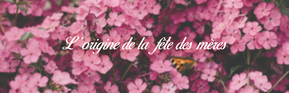 fleurs rose et titre fête des mères
